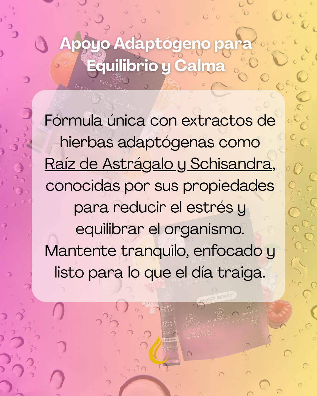Electrolitos Pure Tribe Hydrate + Balance 30 Sobres Distribuidor